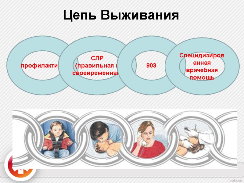 Цепь Выживания